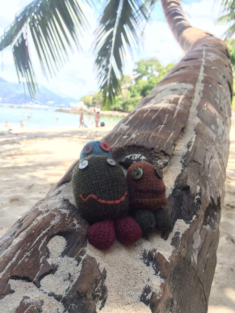 It's time to properly introduce my traveling partners.
